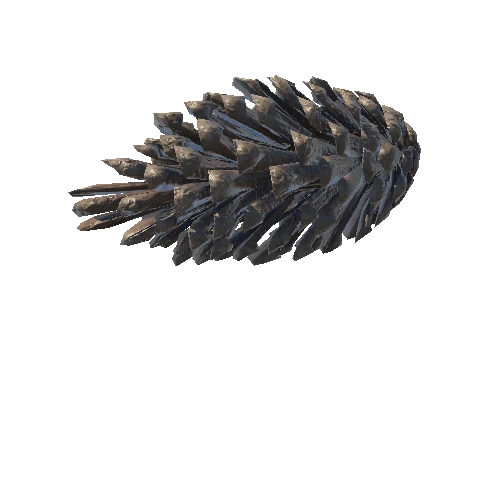 pine cone 3_low